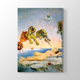 Salvador Dali - Dream Caused Tablosu