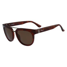 Salvatore Ferragamo 767S 218 53 Kahverengi Erkek Güneş Gözlüğü