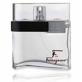 Salvatore Ferragamo F By Pour Homme EDT 100 ml Erkek Parfümü