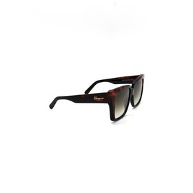 Salvatore Ferragamo SF 1060S 006 Kadın Güneş Gözlüğü