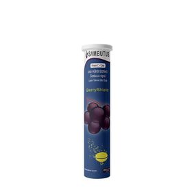 Sambutus Kara Mürver Ekstresi Vitamin C Çinko 20 Efervesan Tablet