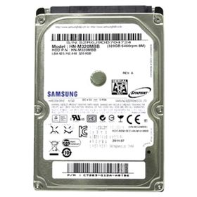 Samsung 320GB HN-M320MBB Sabit Disk