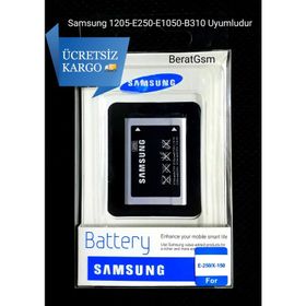 Samsung E900 Batarya