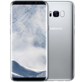 Samsung Galaxy S8 Plus 64GB Gümüş