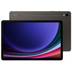 Samsung Galaxy Tab S9 Sm-X710 Wi-Fi 256GB 11 İnç Gri Tablet PC