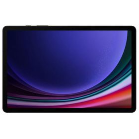 Samsung Galaxy Tab S9 Sm-X710 Wi-Fi 256GB 11 İnç Gri Tablet PC