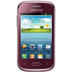 Samsung Galaxy Young S6310