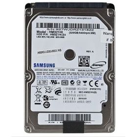 Samsung Spinpoint 320GB HM321HI Sabit Disk