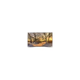 Samsung UE-46F8000 Smart Tv