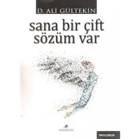 Sana Bir Çift Sözüm Var - Ali Gürtekin
