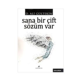 Sana Bir Çift Sözüm Var - Ali Gürtekin