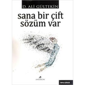 Sana Bir Çift Sözüm Var - Ali Gürtekin