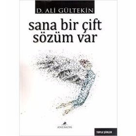 Sana Bir Çift Sözüm Var - D. Ali Gültekin