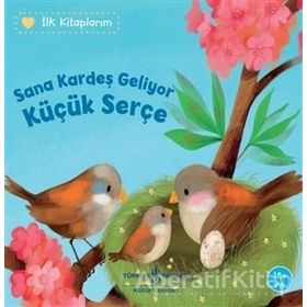 Sana Kardeş Geliyor Küçük Serçe - Katja Reider