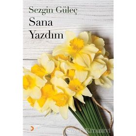 Sana Yazdım - Sezgin Güle