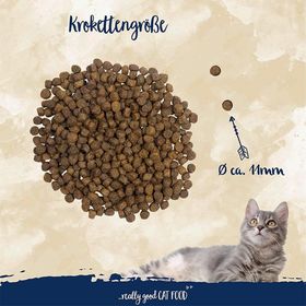Sanabelle Adult Forelle Alabalıklı Tahılsız 1 kg Açık Kedi Maması