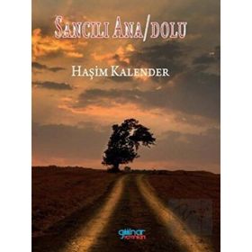 Sancılı Ana/Dolu - Haşim Kalender - Gülnar Yayınları