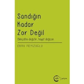 Sandığın Kadar Zor Değil - Ebru Feyizoğlu