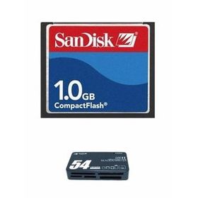 Sandisk 1Gb Compact Flash Card