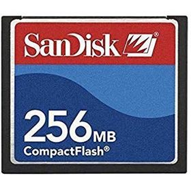 Sandisk 256 MB Compact Flash Card