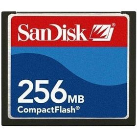 Sandisk 256 MB Compact Flash Card