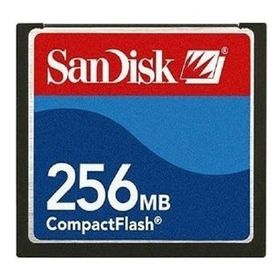 Sandisk 256 MB Compact Flash Card