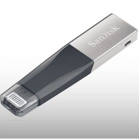Sandisk SDIX40N-256G-GN6NE Flash Bellek