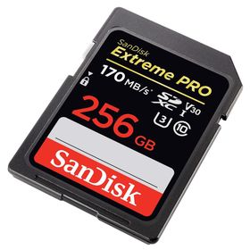 Sandisk SDSDXXY-256G-GN4IN 256GB Hafıza Kartı
