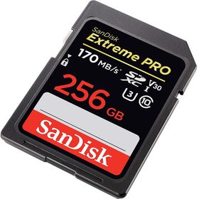 Sandisk SDSDXXY-256G-GN4IN 256GB Hafıza Kartı