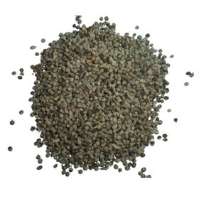 Sanita 1 kg Hayıt Tohumu
