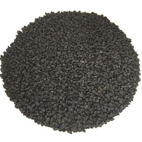 Sanita 1 kg Pırasa Tohumu