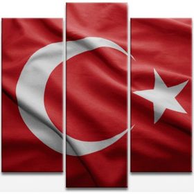 Şanlı Türk Bayrağımız Kanvas Tablo