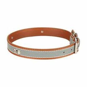 Sanlian 1,5 cm Köpekler İçin Kemik Desenli Reflektörlü Boyun Tasması