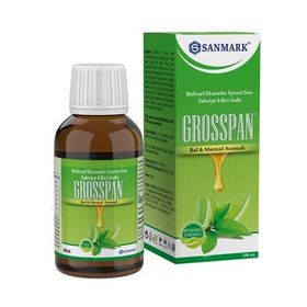 Sanmark Grosspan Bal Mentol Aromalı 100 ml Şurup