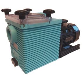 Santem Etag 1Hp 0.75Kw Trifaze Havuz Pompası