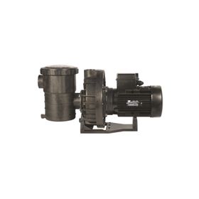 Santem Vısco 2 Hp 1.5 Kw Monofaze Havuz Pompası