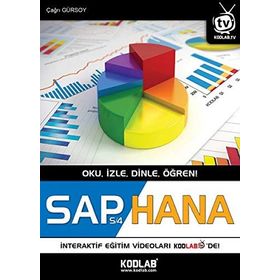 Sap S-4 Hana - Çağrı Gürsoy