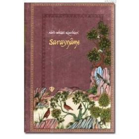 SARAYNAME ALEVI BEKTAŞİ KLASIKLERI 11 - KAYGUSUZ ABDAL;ABDURRAHMAN GÜZEL