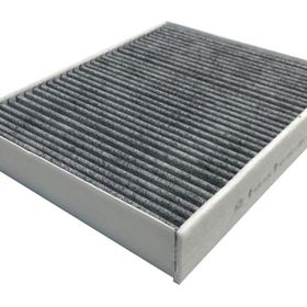 Sardes SCA3041.1 Polen Filtresi