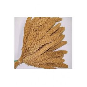 Sarı 250 gr Dal Darı