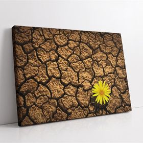 Sarı Çiçek Kanvas Tablo