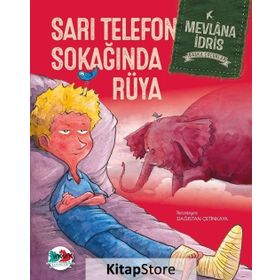 Sarı Telefon Sokağında Rüya - Mevlana İdris