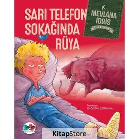 Sarı Telefon Sokağında Rüya - Mevlana İdris