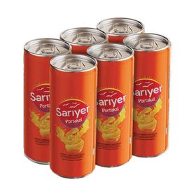 Sarıyer Portakal Meyveli 330 ml Gazlı İçecek (6 adet)