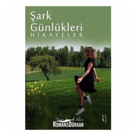 Şark Günlükleri Hikayeler - Ömer Faruk Aksu