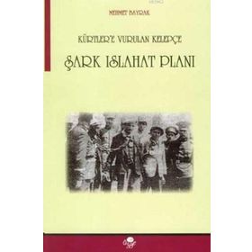 ŞARK ISLAHAT PLANI KÜRTLERE VURULAN KELEPÇE - MEHMET BAYRAKTAR