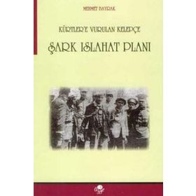 ŞARK ISLAHAT PLANI KÜRTLERE VURULAN KELEPÇE - MEHMET BAYRAKTAR