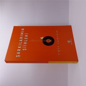 Şarkılarımın Şiirleri - Ümit Akdemir