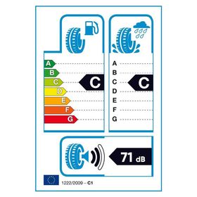Sava 225/50 R17 98V XL Eskimo HP 2 Kış Lastiği