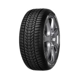 Sava 225/55 R17 101V XL Eskimo HP 2 Kış Lastiği 2025